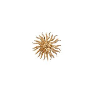 Charles Frederick Worth (France) Wheel of Birth Brooch